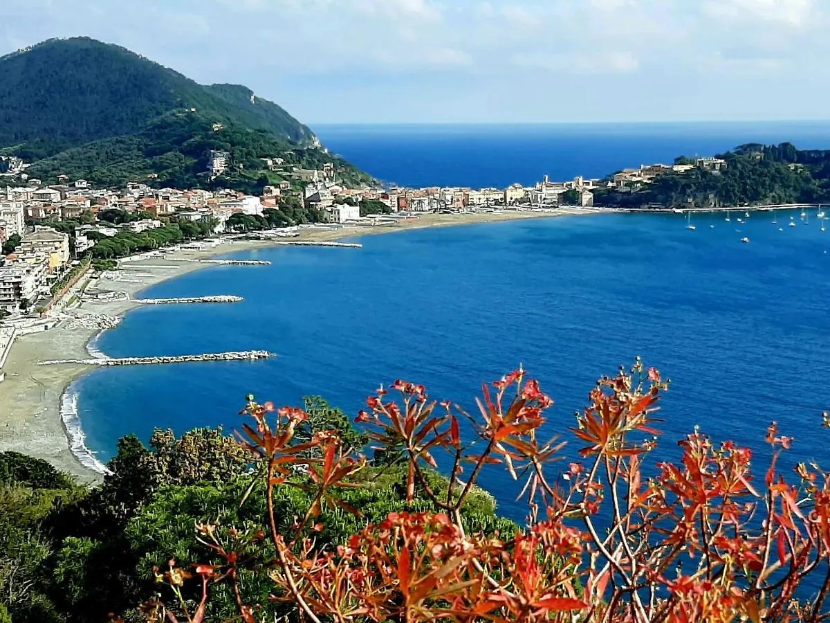 Apartment La Gerbera By Interhome Sestri Levante